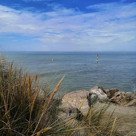 公寓 Le Cocon Des Dunes