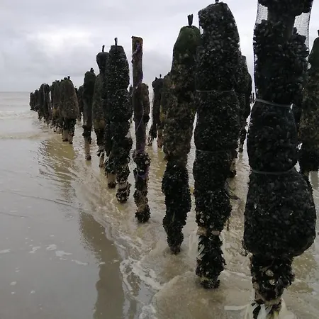 Appartement Le Cocon Des Dunes *